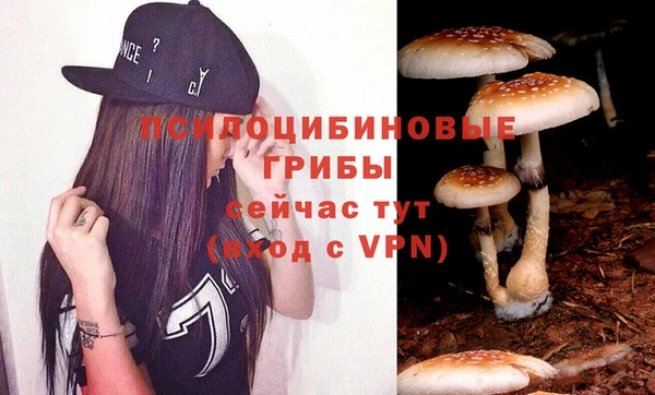 тгк Бронницы